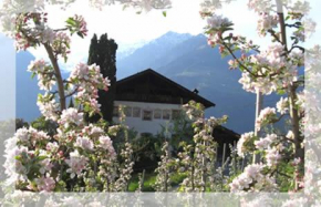 Lothof